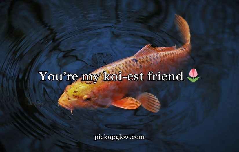 Koi Fish Puns and Jokes
