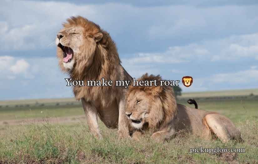 Lion Puns
