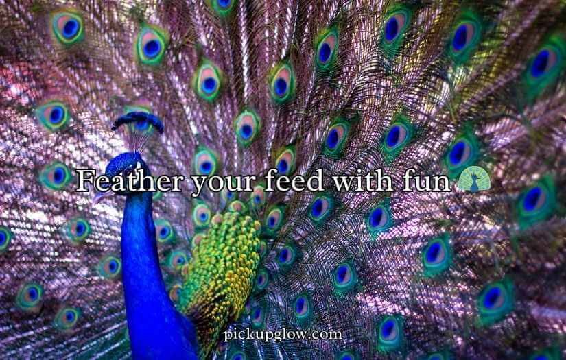Peacock Puns