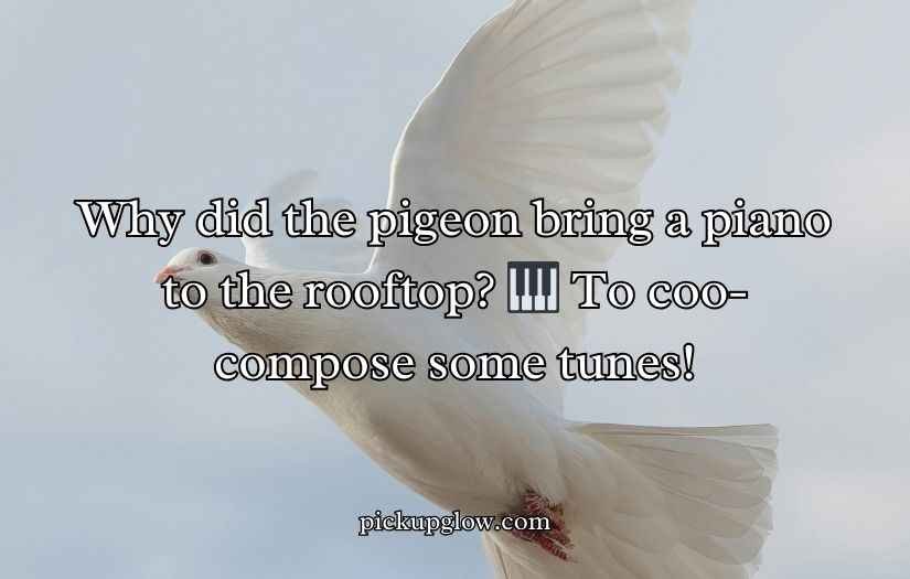 Pigeon Puns and Jokes