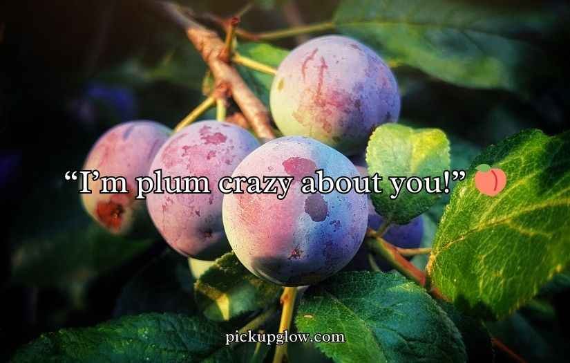 Plum Puns and Jokes