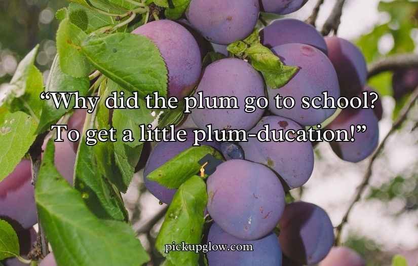 Plum Puns and Jokes