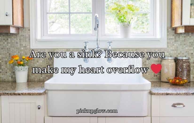 Sink Puns
