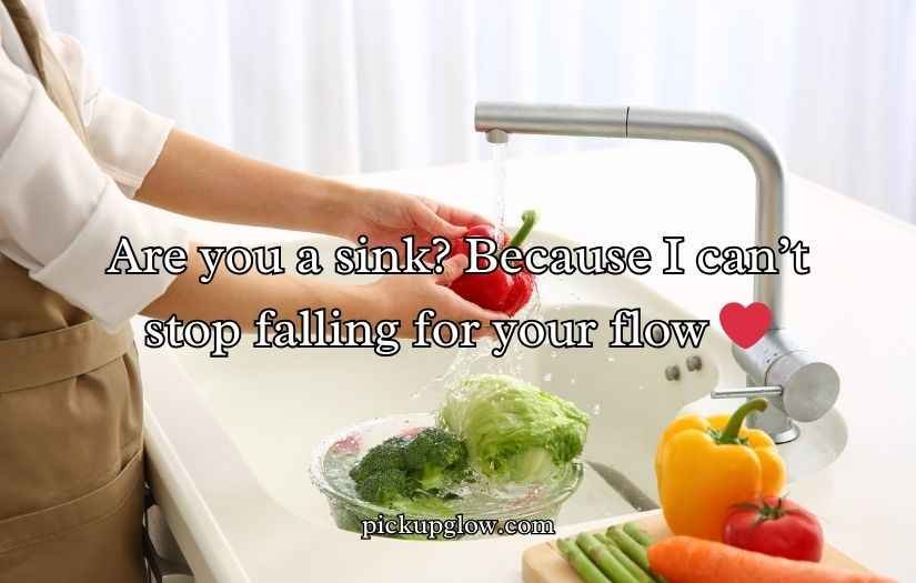 Sink Puns