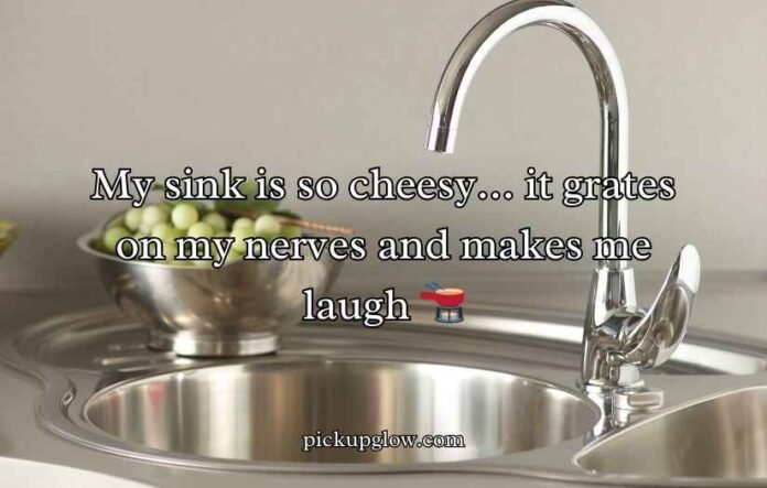 Sink Puns