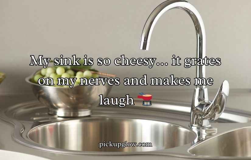 Sink Puns