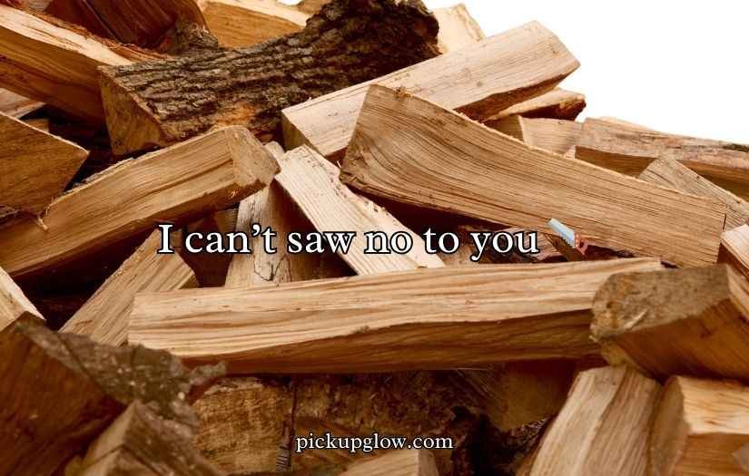 Wood Puns