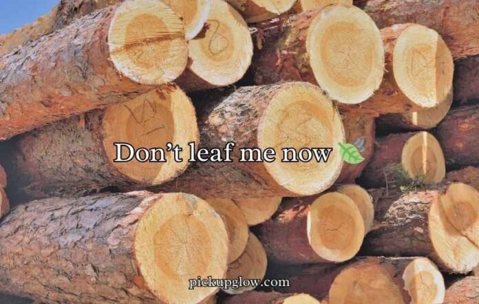 Wood Puns