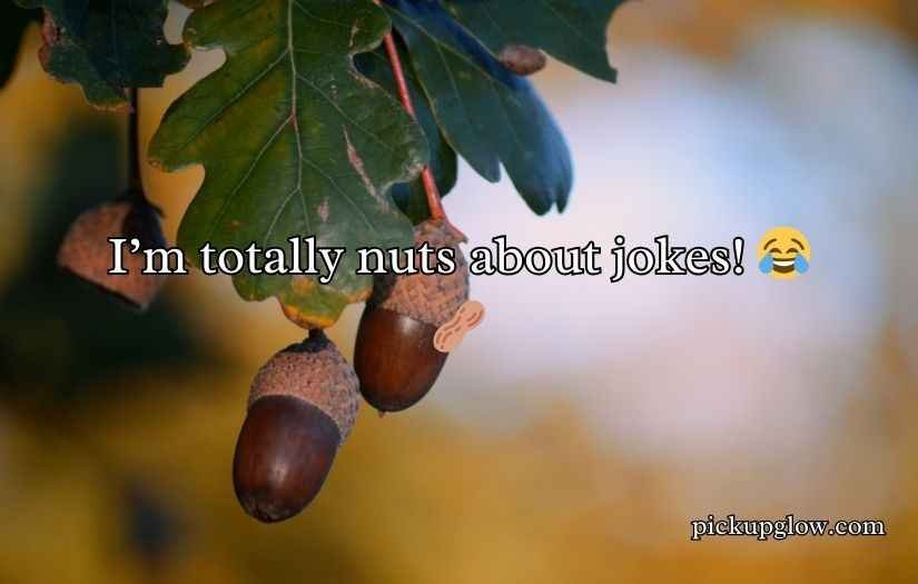 Acorn Puns