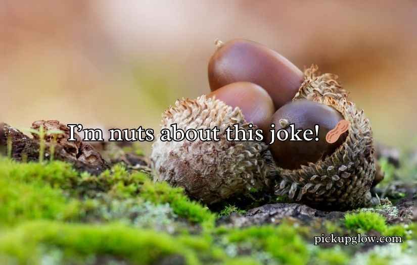Acorn Puns