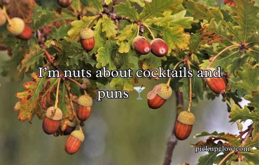 Acorn Puns