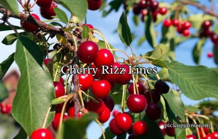 Cherry Rizz Lines