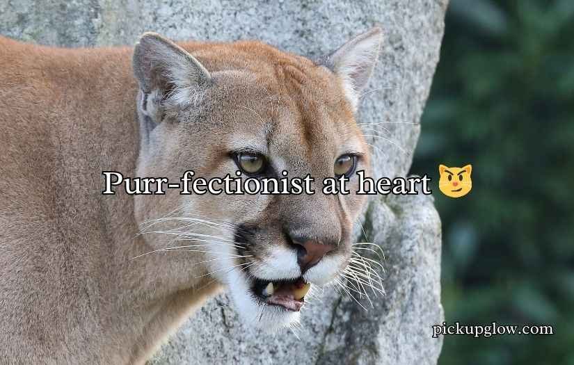 Cougar Puns