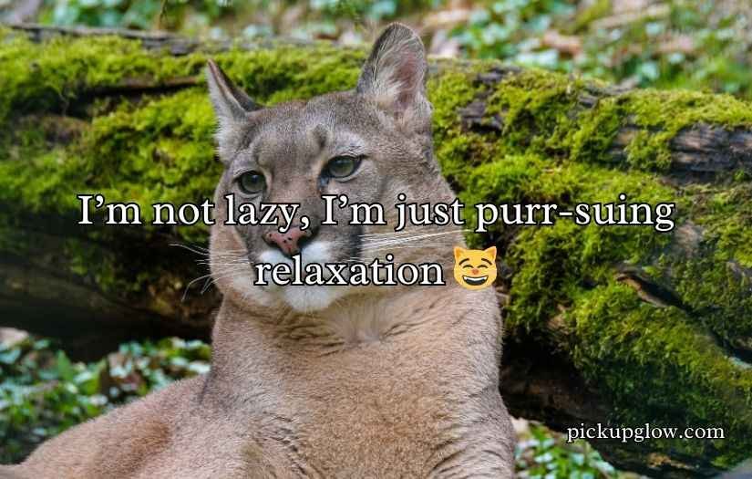 Cougar Puns