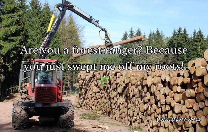 Forestry Pick Up Lines