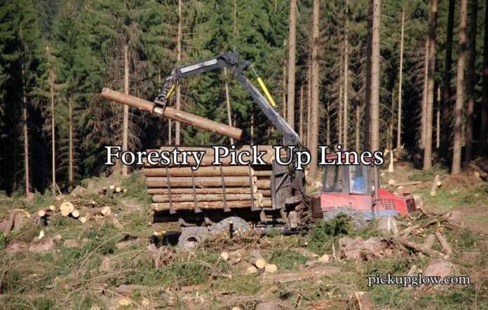 Forestry Pick Up Lines