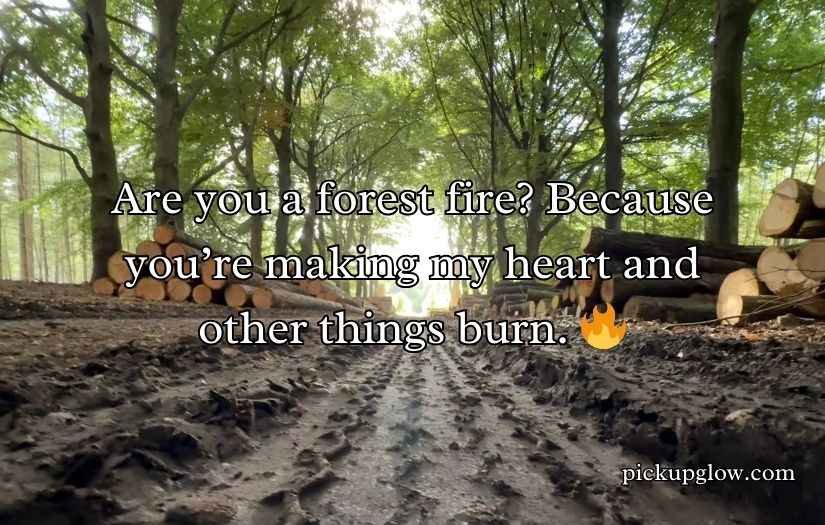 Forestry Pick Up Lines