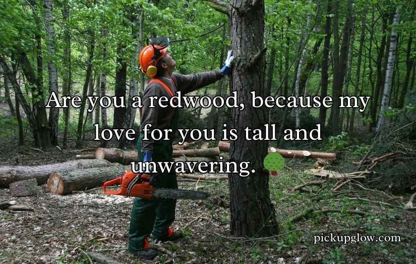 Forestry Pick Up Lines