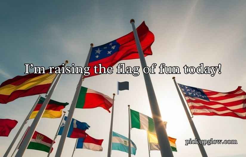 Funny Flag Puns Jokes for Laughs