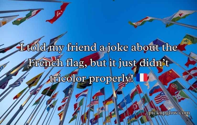 Funny Flag Puns Jokes for Laughs