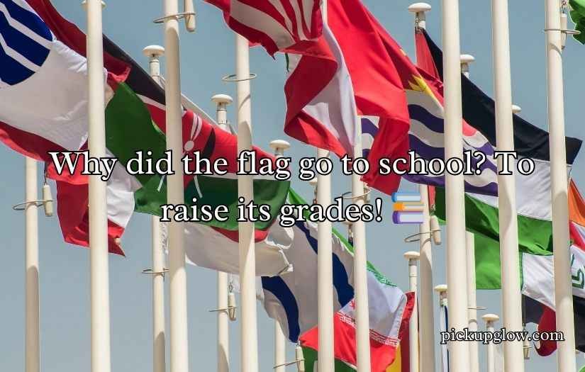 Funny Flag Puns Jokes for Laughs