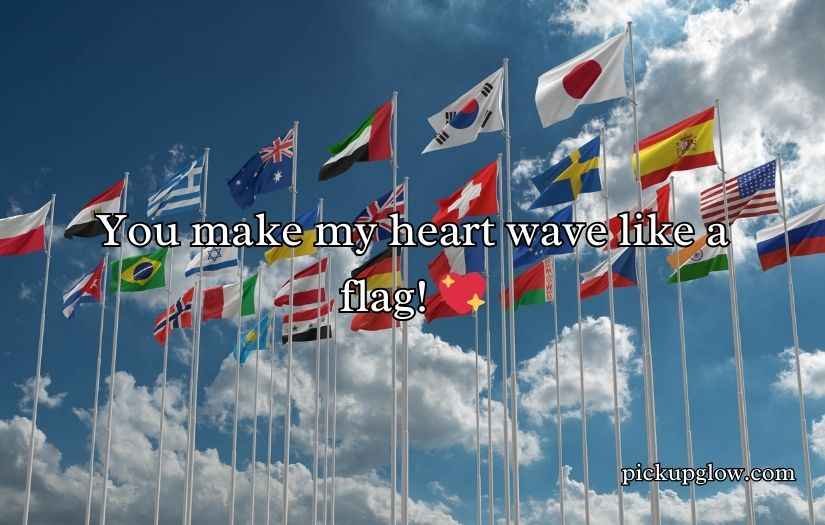 Funny Flag Puns Jokes for Laughs