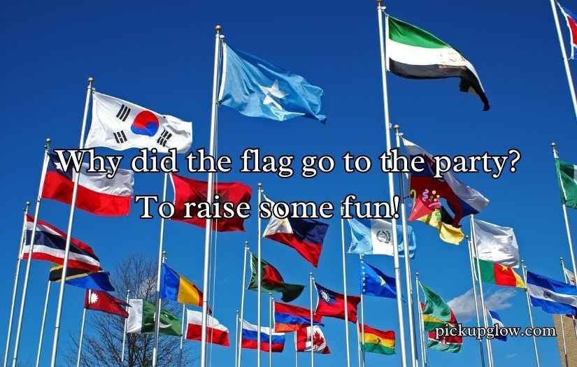 Funny Flag Puns Jokes for Laughs