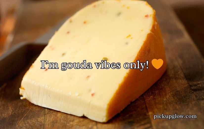 Gouda Cheese Puns