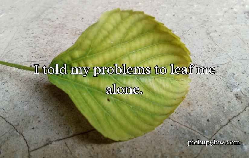 Leaf Puns
