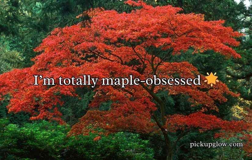 Maple Puns