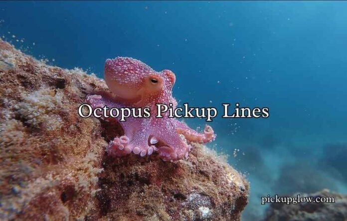 Octopus Pickup Lines