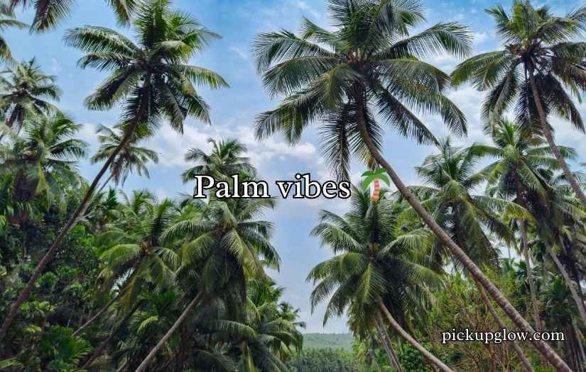 Palm Tree Puns