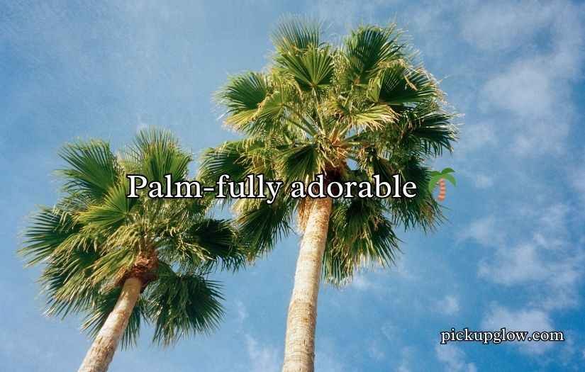 Palm Tree Puns