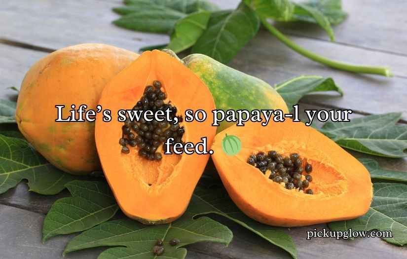 Papaya Puns