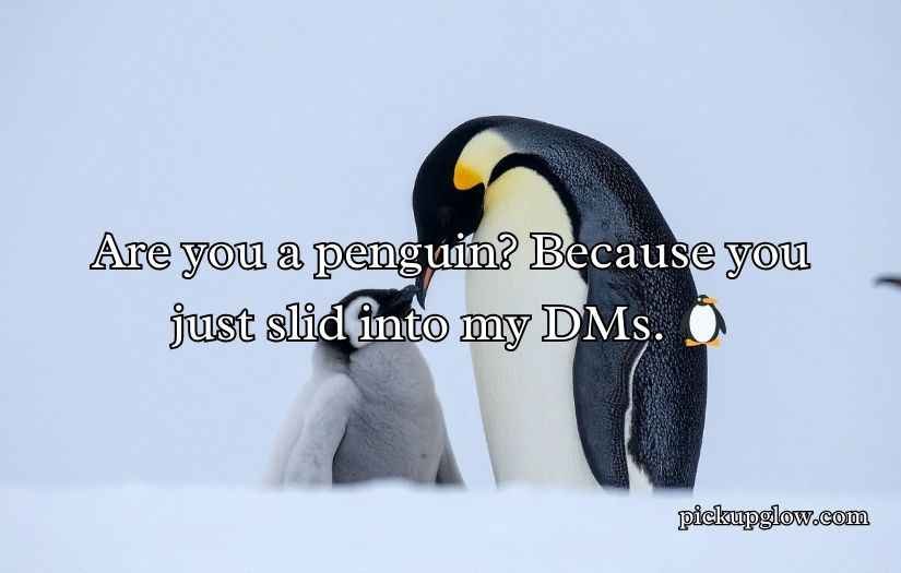 Penguin Pickup Line