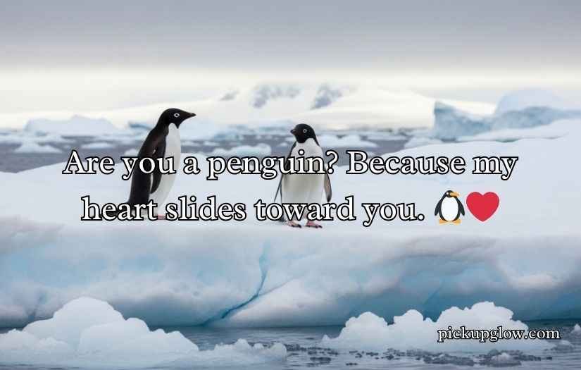 Penguin Pickup Line