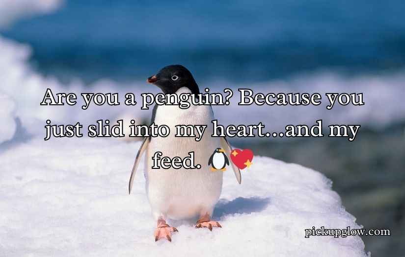 Penguin Pickup Line