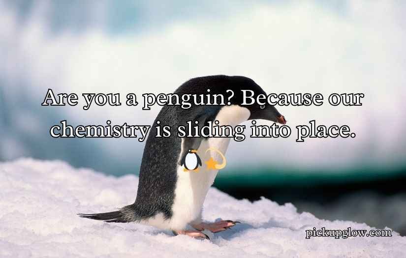Penguin Pickup Line