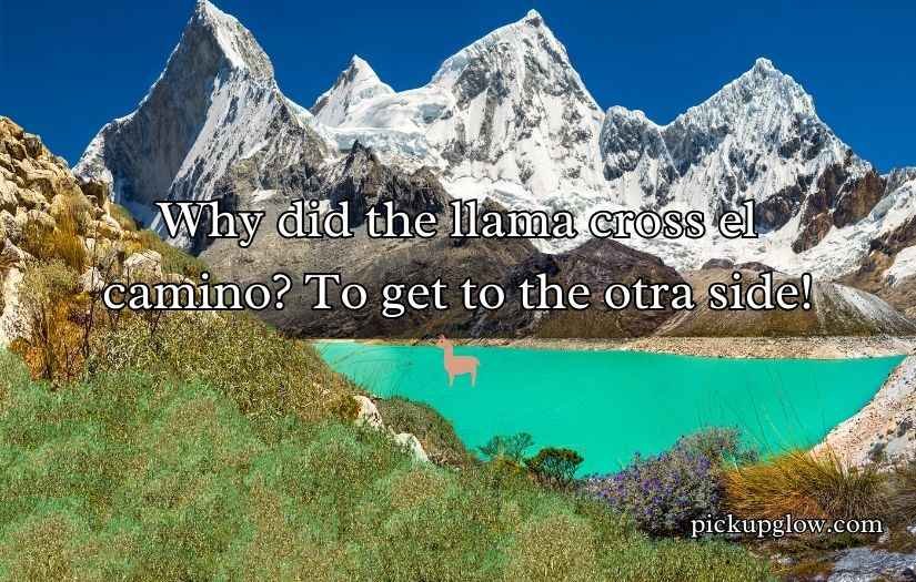 Peru Puns