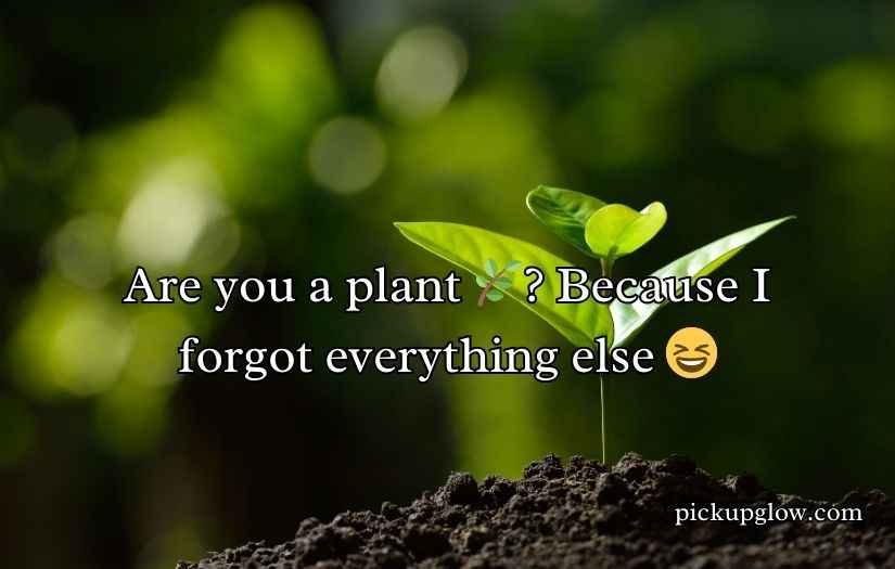 Plant Pick-Up Lines