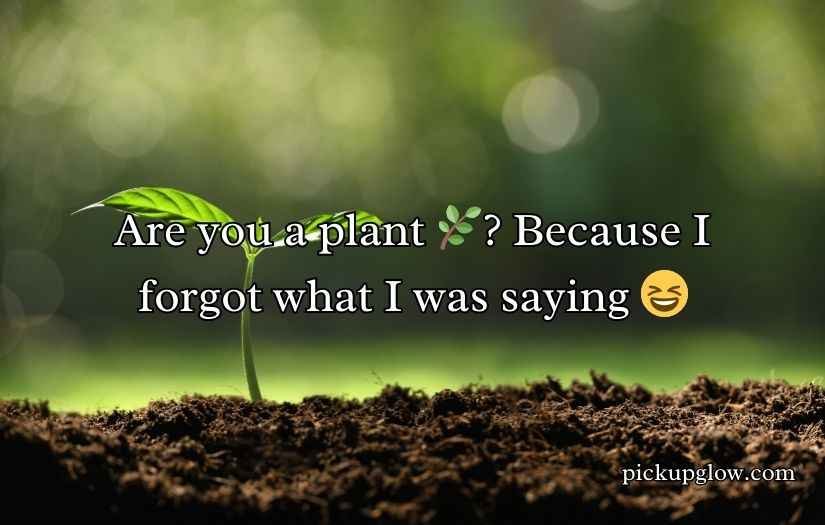 Plant Pick-Up Lines
