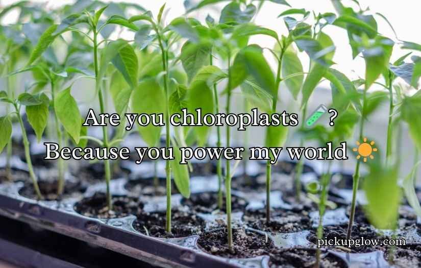 Plant Pick-Up Lines