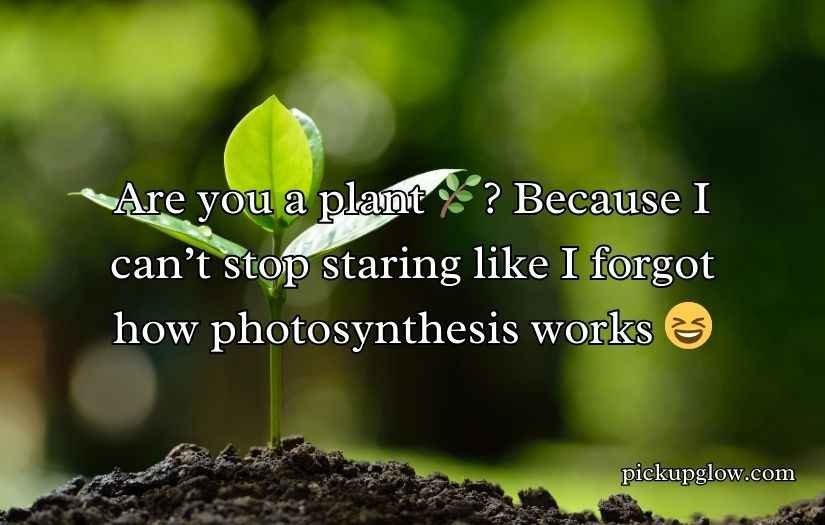 Plant Pick-Up Lines