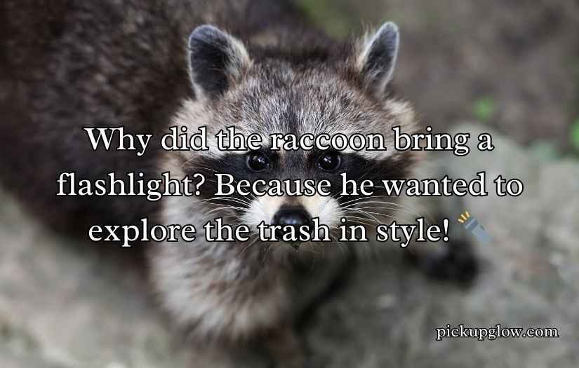 Raccoon Puns, Jokes & Humor