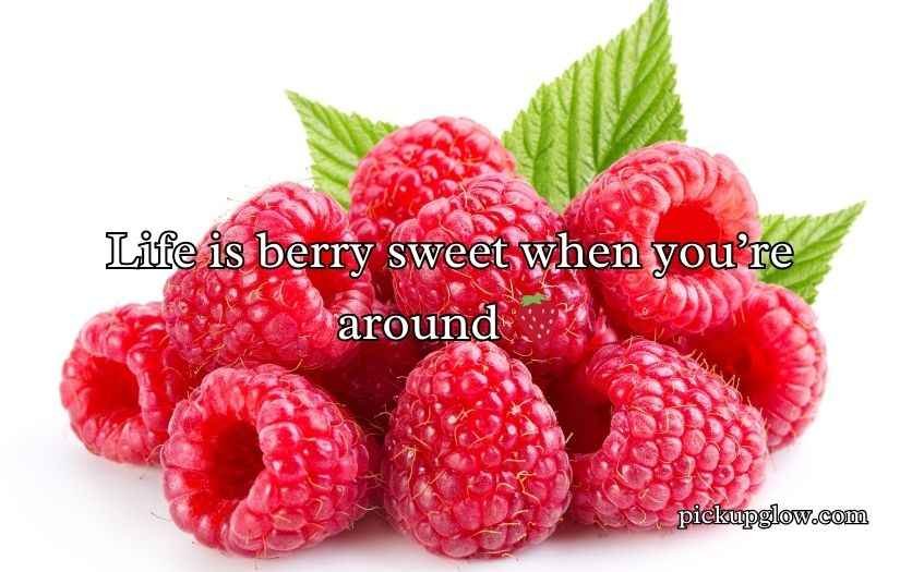Raspberry Puns