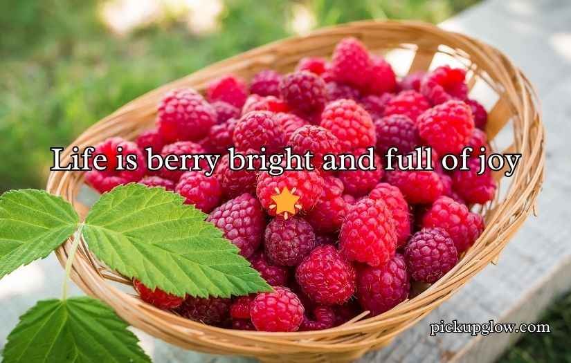 Raspberry Puns