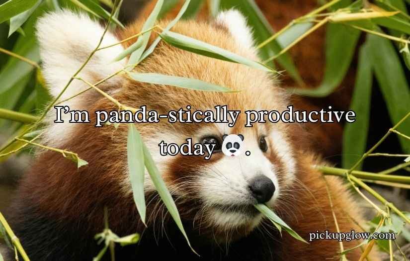 Red Panda Puns