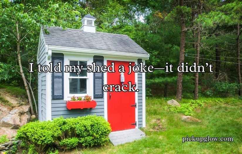 Shed Jokes & Puns