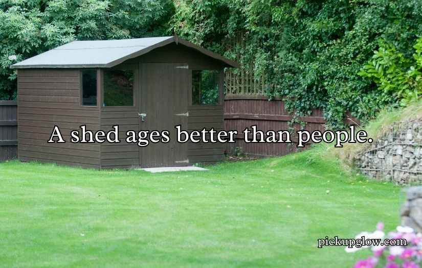 Shed Jokes & Puns