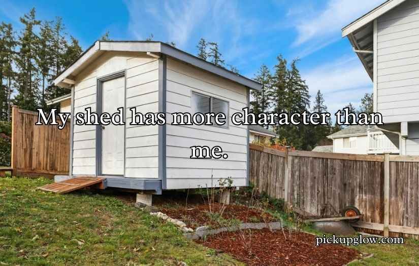 Shed Jokes & Puns